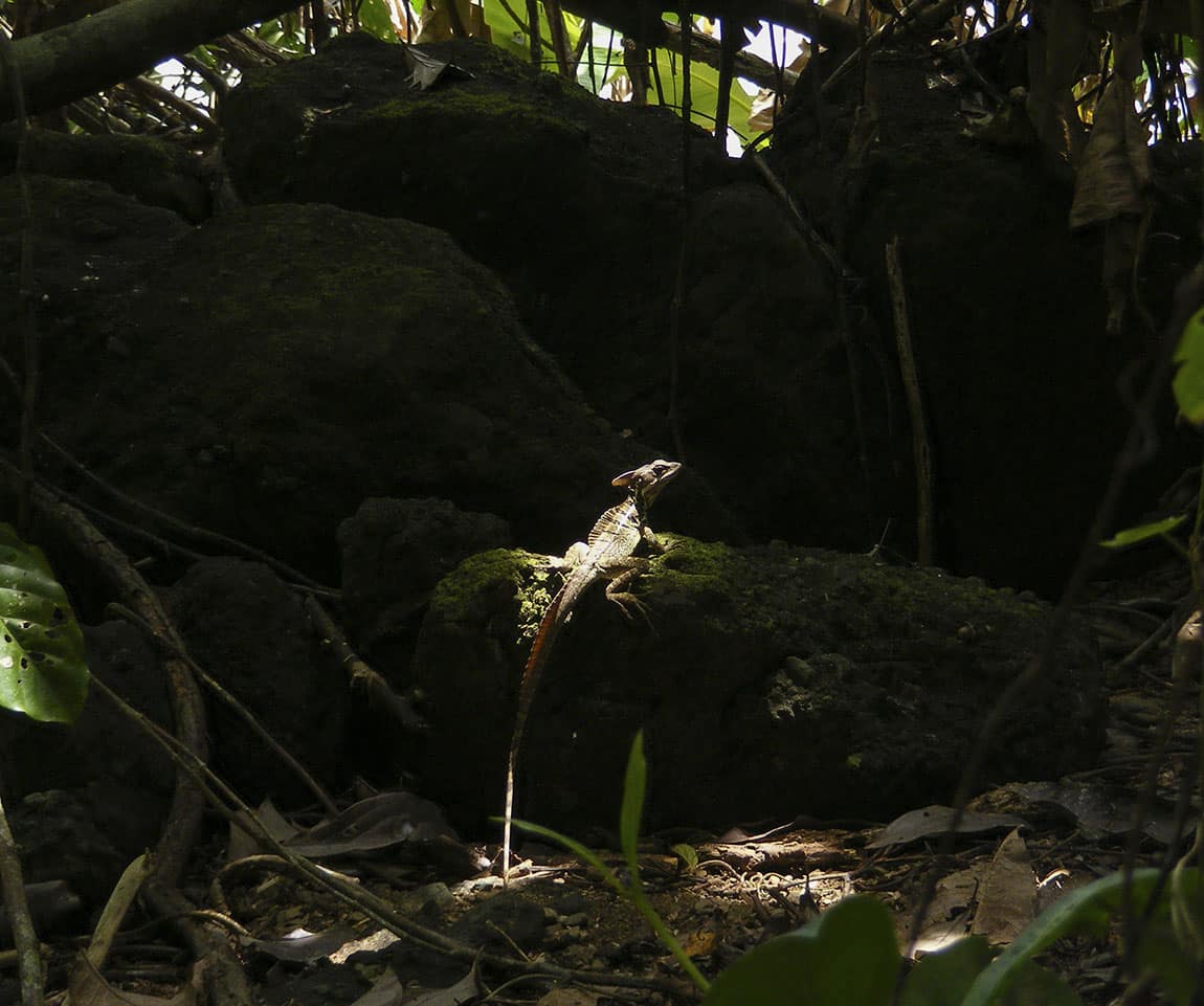 Oneday sanpedrillo galeria 02.jpg