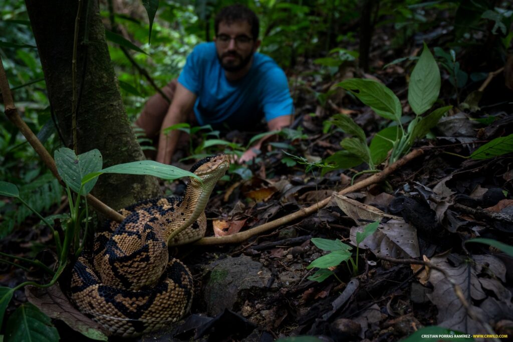 484068816 958600796478450 4674258889476639269 n