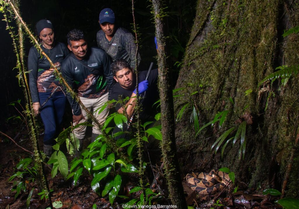 Whatsapp image 2023 09 09 at 15.46.40